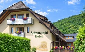 Schwarzwald Hotel